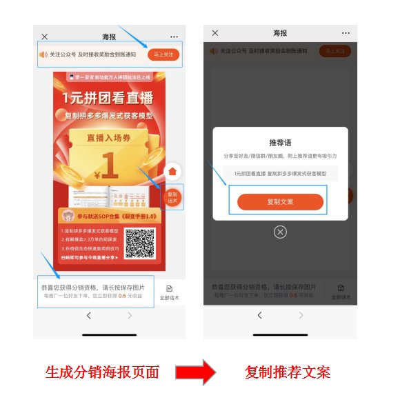 鳥哥筆記,活動運營,野生的獨孤菌,拼團,復盤,案例分析,活動總結,活動