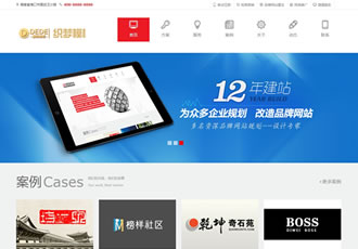 大氣互聯網服務機構類企業公司織夢模板(帶wap