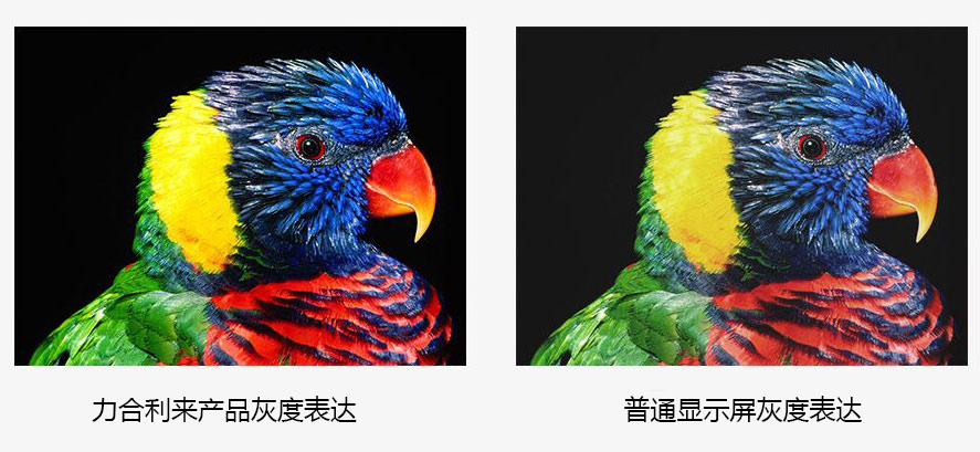 P1.6小間距led顯示屏 P1.6小間距led顯示屏