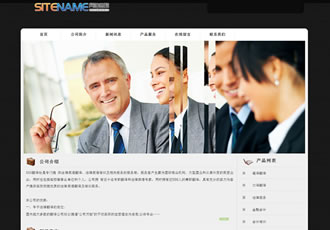 翻釋公司專用各種咨詢類企業建站模板