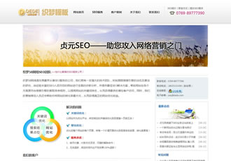 SEO服務公司網站織夢模板