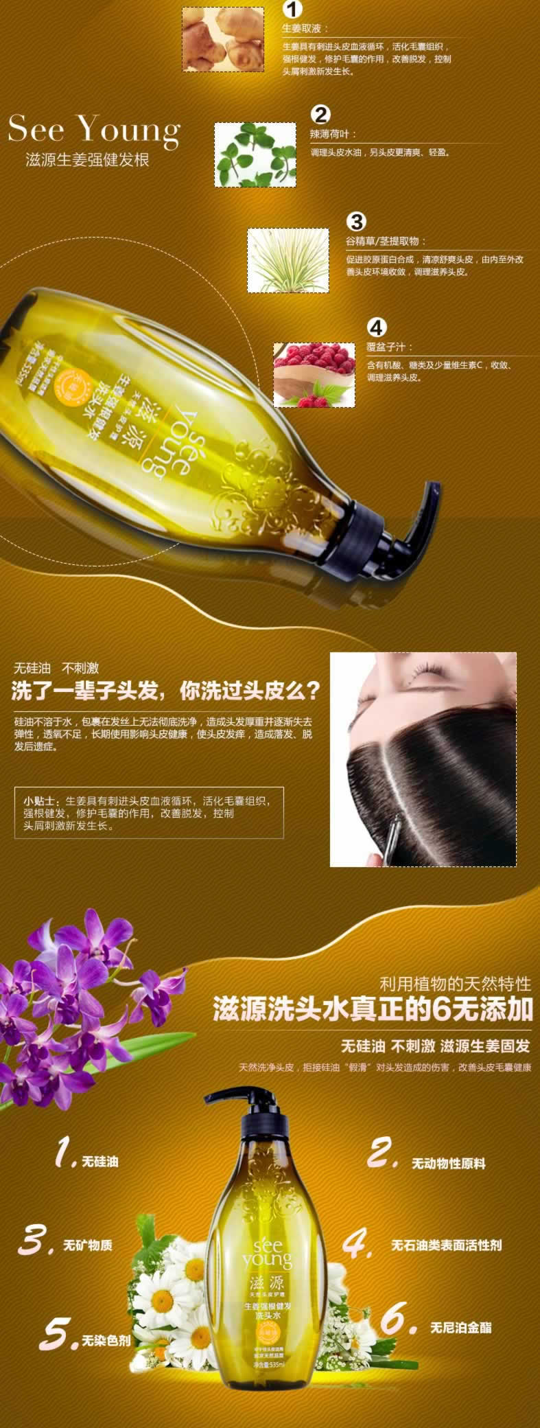 天然無硅油洗頭水生姜固發(fā)根洗發(fā)露描述